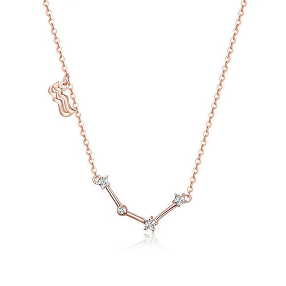 Silver Crystal Taurus Capricorn Scorpio Twelve Constellation Necklace